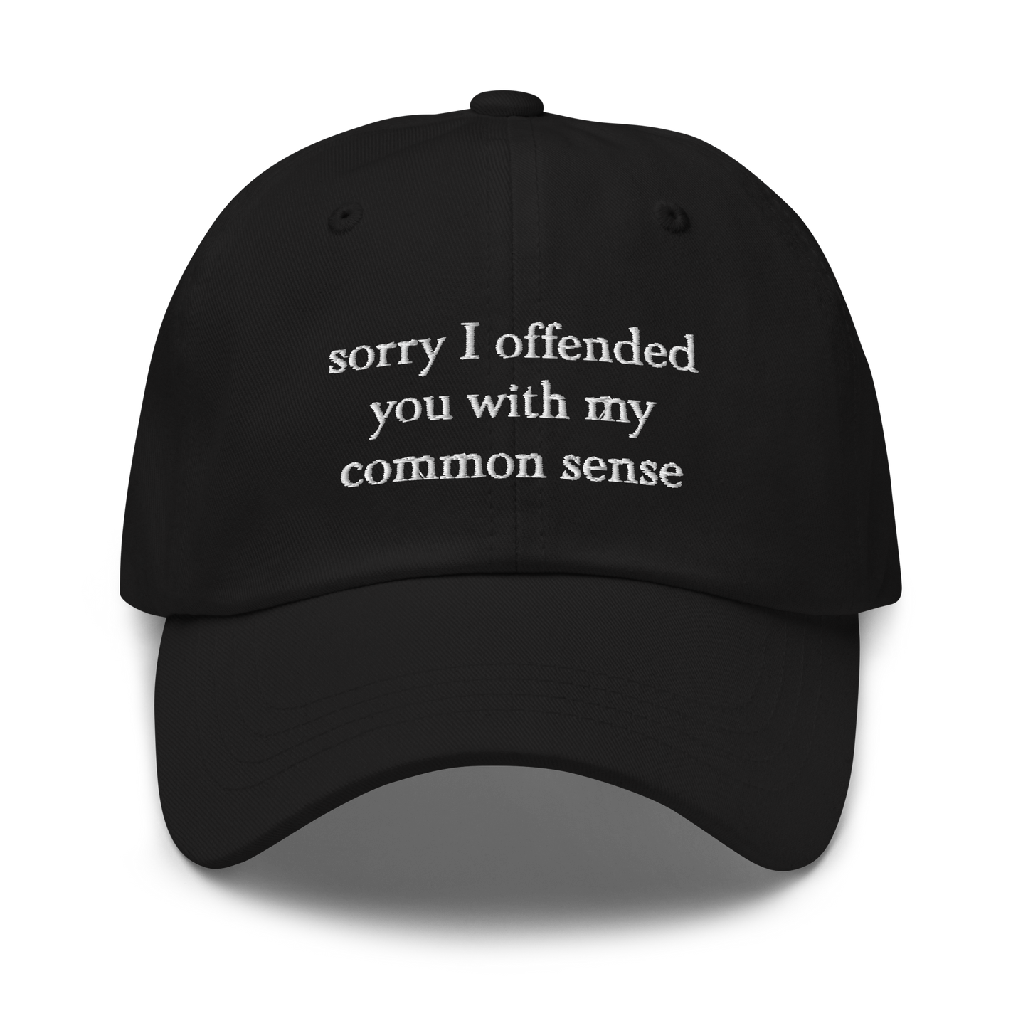 Sorry I Offended You With My Common Sense Baseball Hat