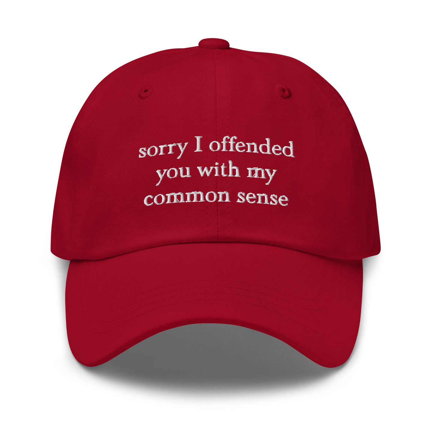 Sorry I Offended You With My Common Sense Baseball Hat