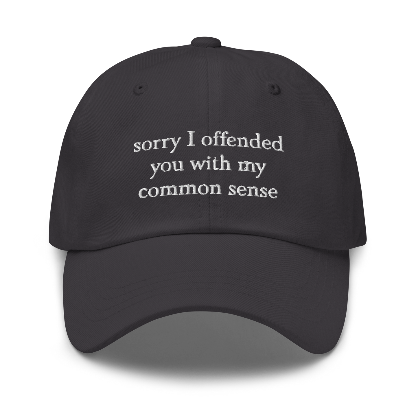 Sorry I Offended You With My Common Sense Baseball Hat