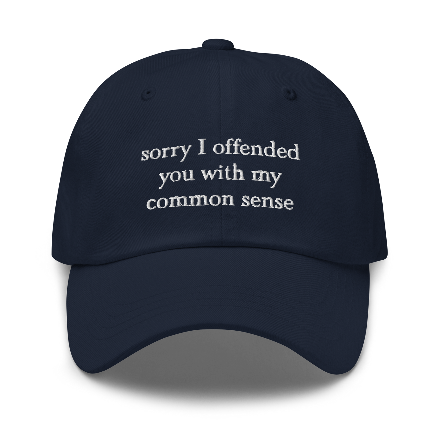 Sorry I Offended You With My Common Sense Baseball Hat