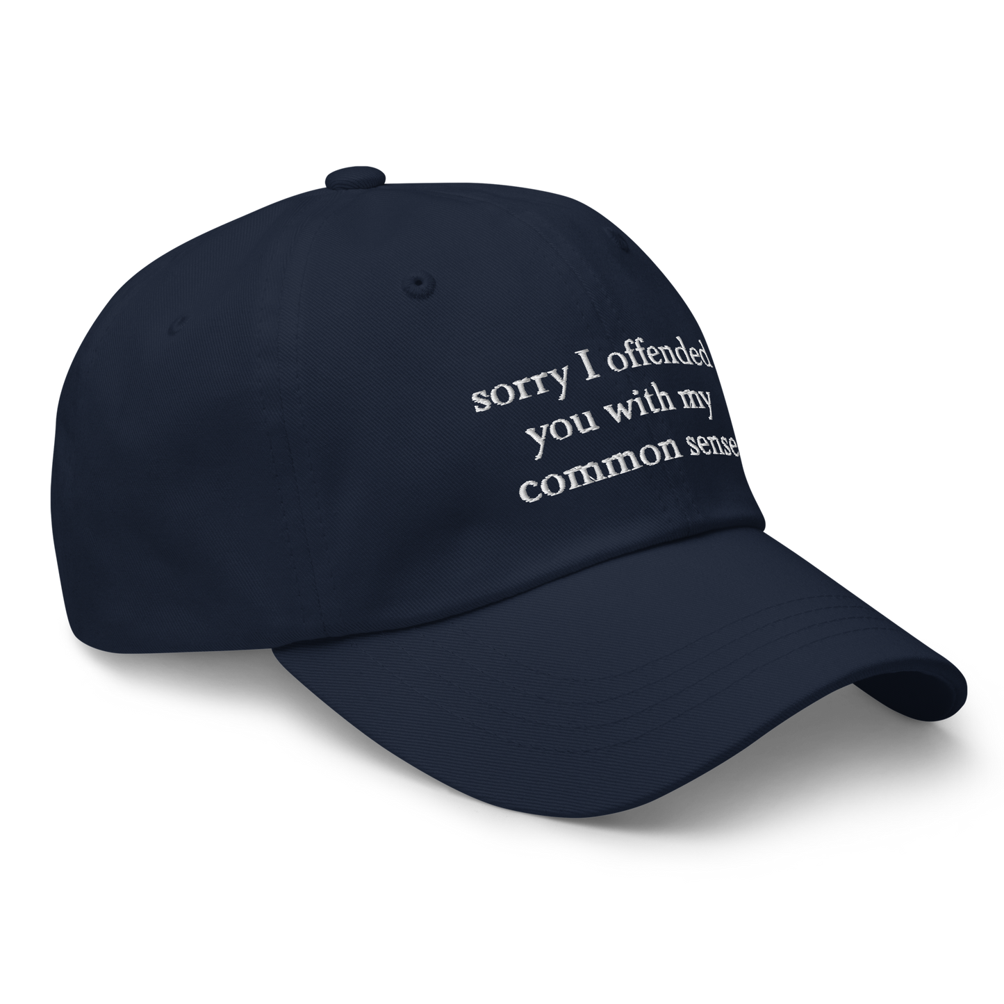 Sorry I Offended You With My Common Sense Baseball Hat
