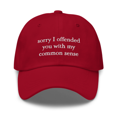 Sorry I Offended You With My Common Sense Baseball Hat