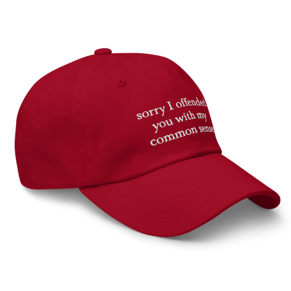 Sorry I Offended You With My Common Sense Baseball Hat