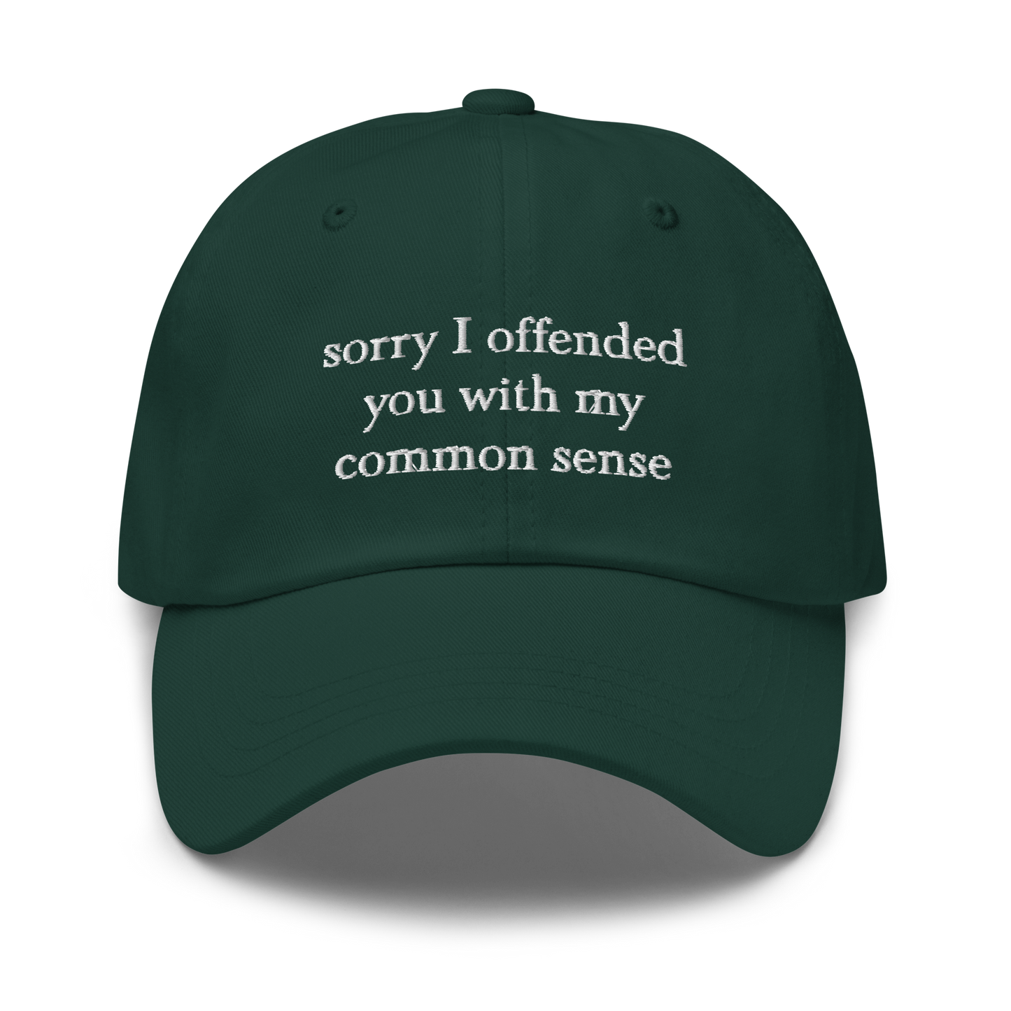 Sorry I Offended You With My Common Sense Baseball Hat