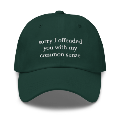 Sorry I Offended You With My Common Sense Baseball Hat