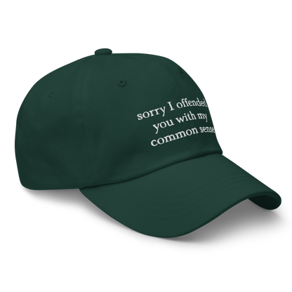Sorry I Offended You With My Common Sense Baseball Hat